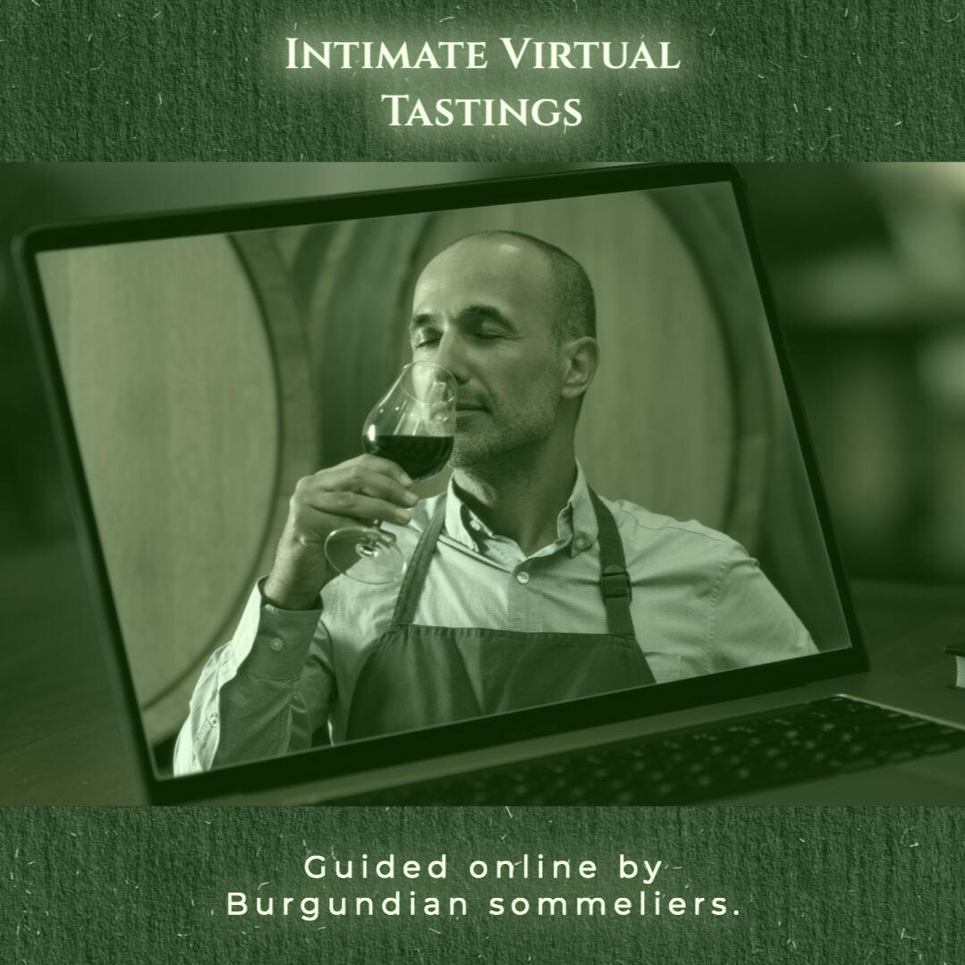 Sommelier tasting wine on laptop screen