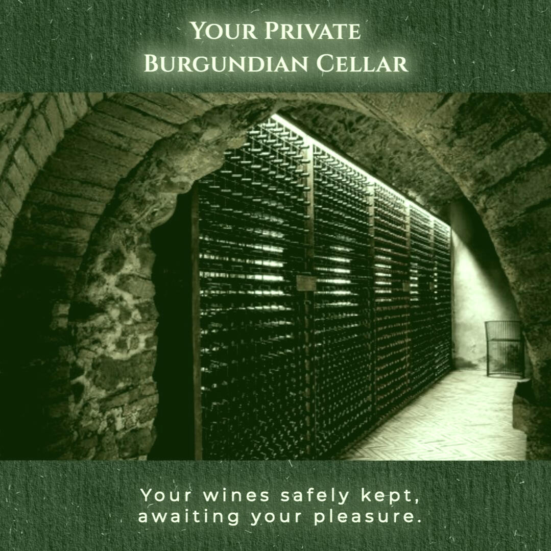 Private wine cellar with ageing racks